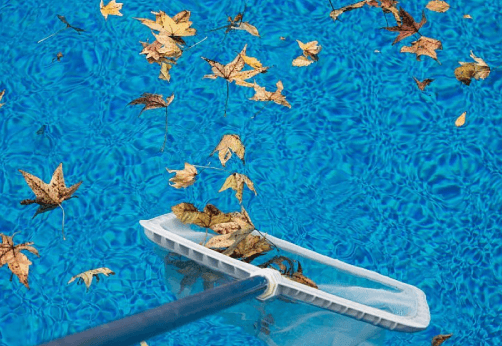 Remove leaves and debris that you find floating in the water